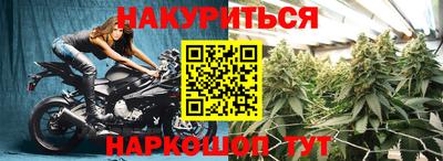 сатива Бийск