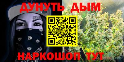 сатива Бийск